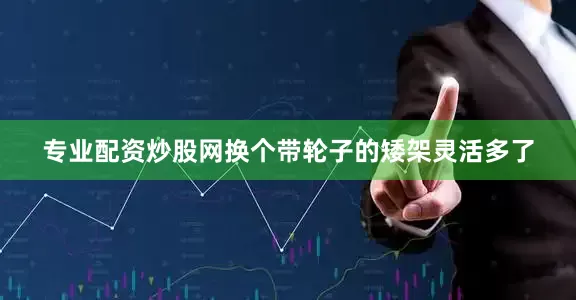 专业配资炒股网换个带轮子的矮架灵活多了
